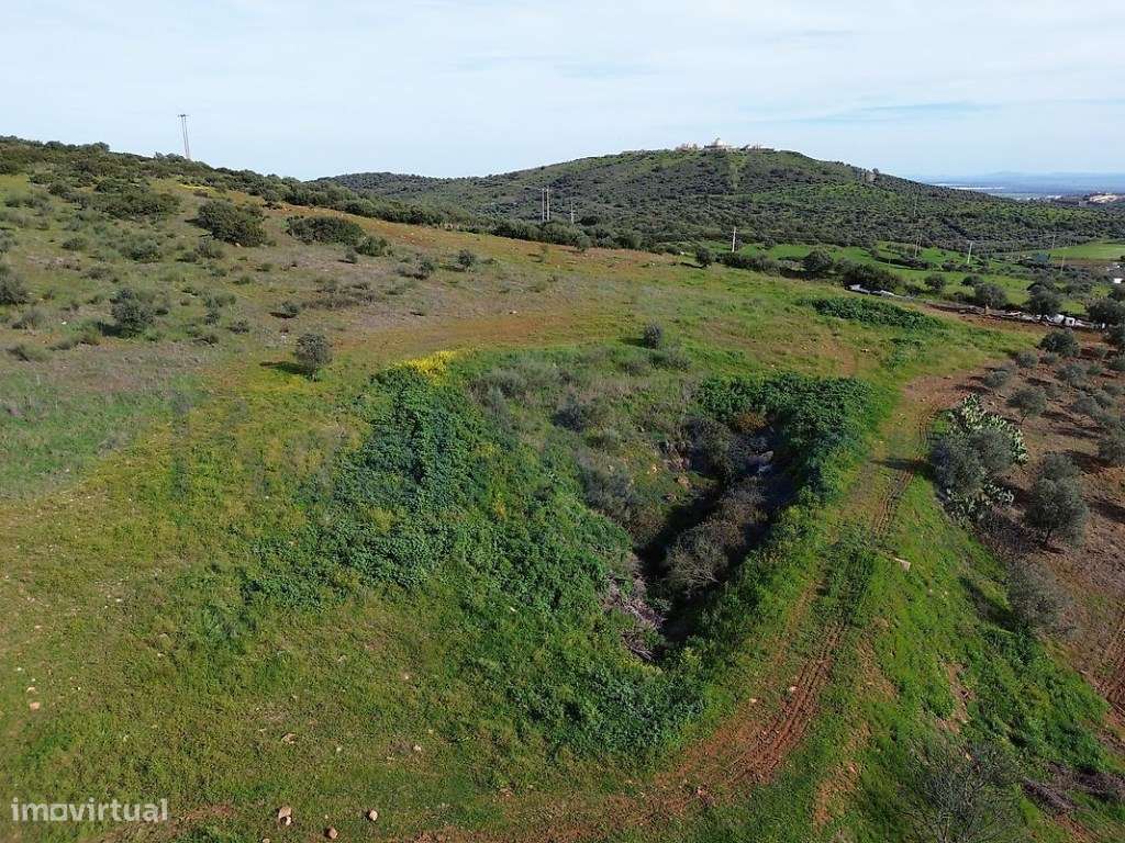 Monte Alentejano T5 com piscina e cerca de 6 hectares Elvas-10