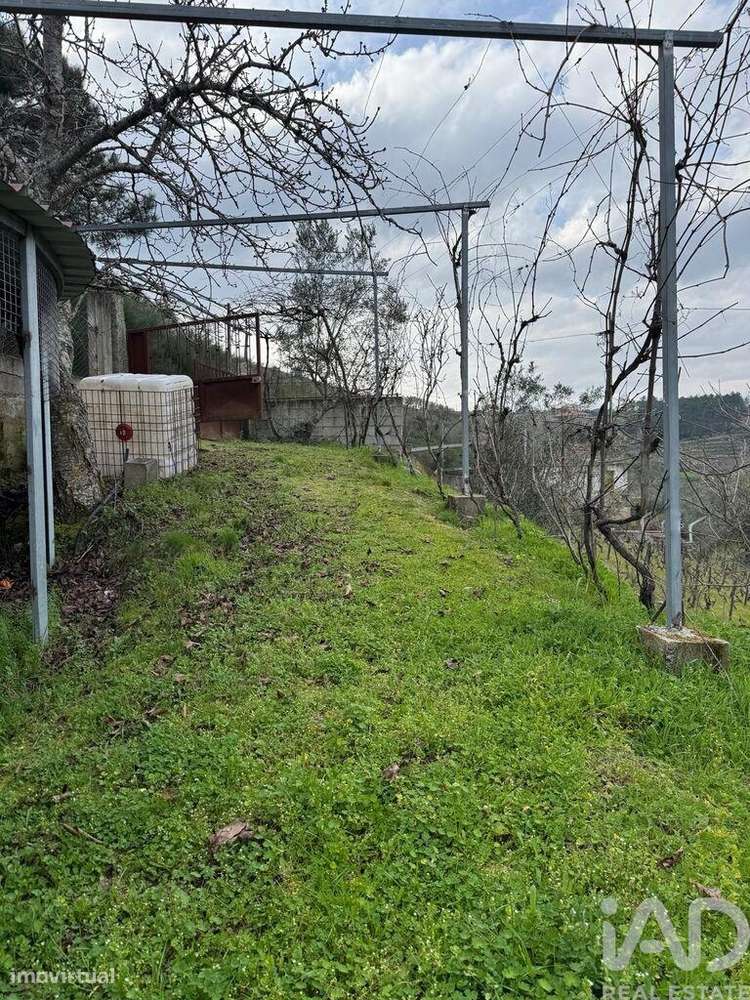 Terreno Agrícola em Tabuaço - Grande imagem: 4/14