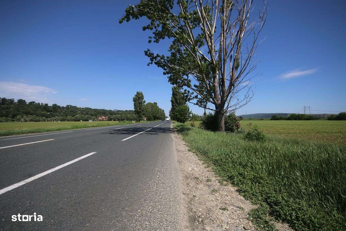 Teren Intrare Racaciuni 7000 mp 29 Latime Stradal E85 - Imagine principală: 5/9