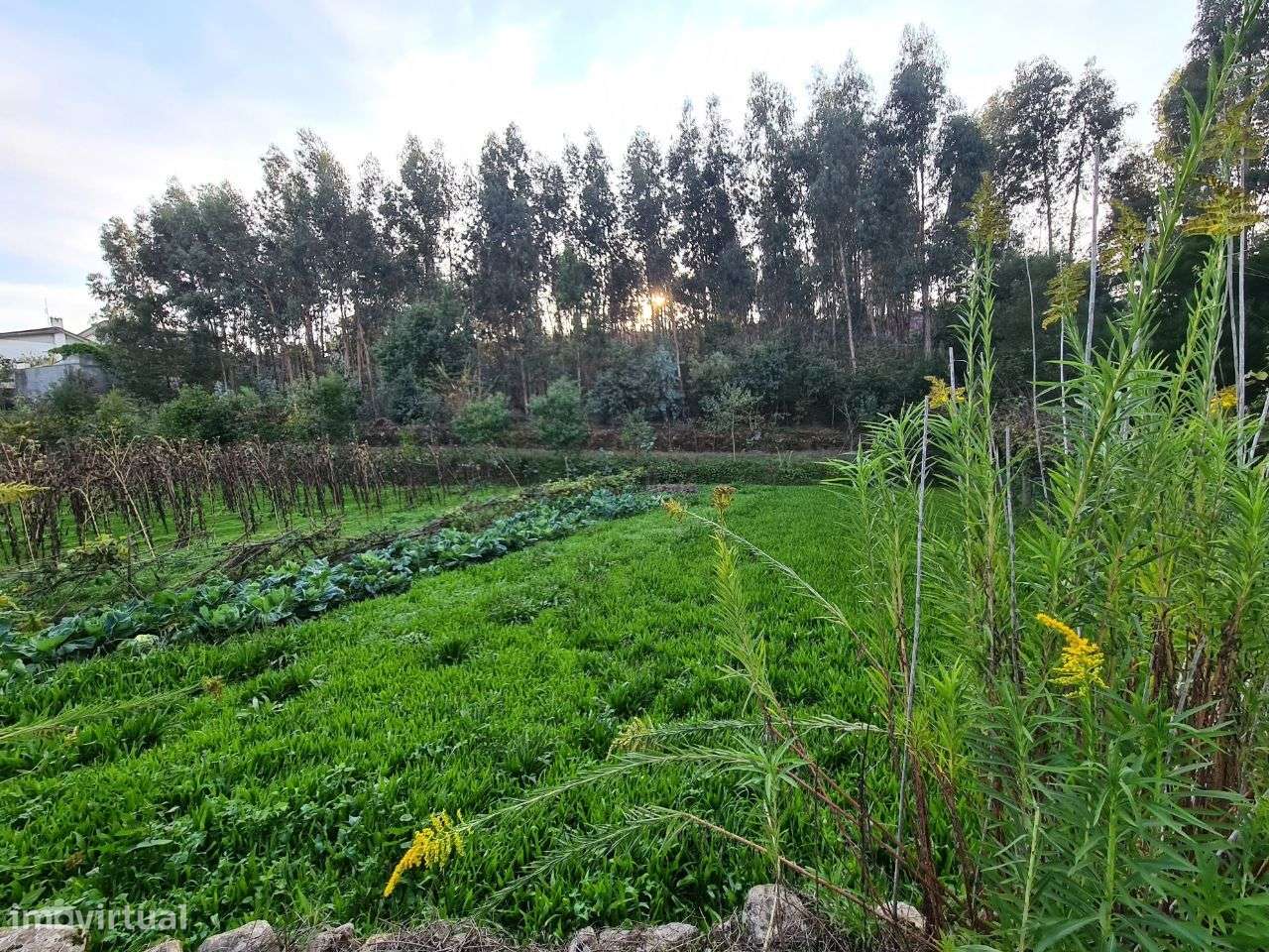 Terreno com Viabilidade de Construção de Moradias-2