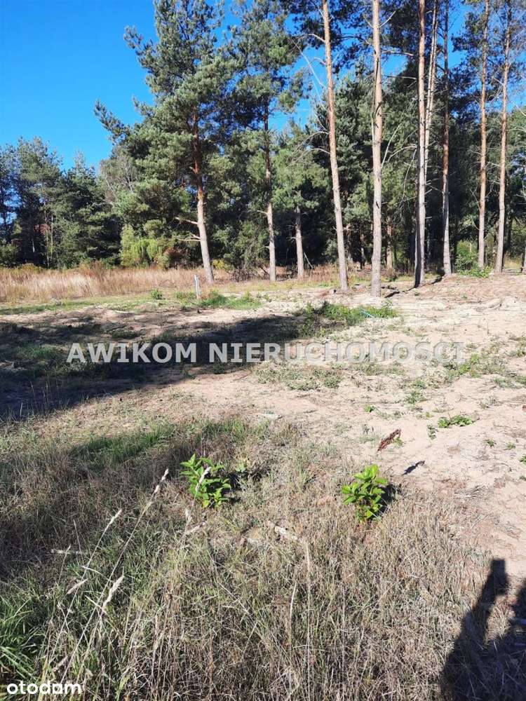 Działka budowlano - usługowa 4292m2 Kaleń - Pełny obrazek: 5/11