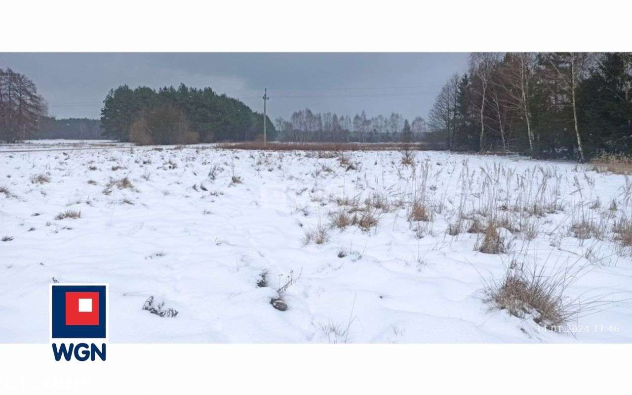 Działka, 5 500 m², Zaróg-3