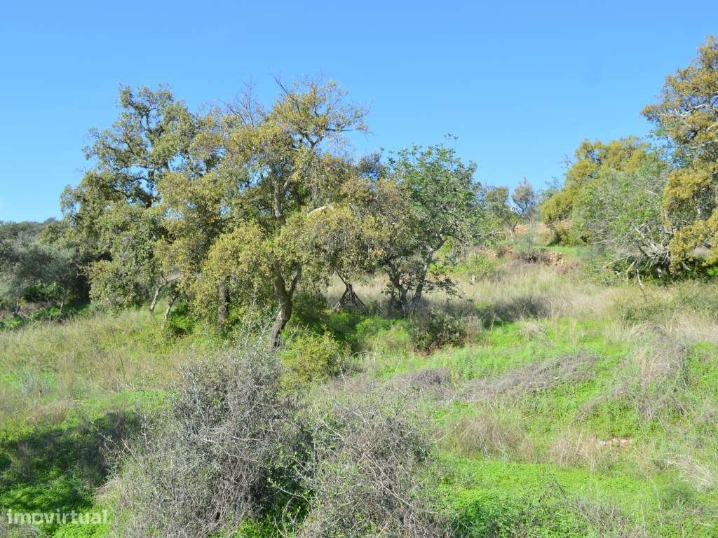 Lote de terreno com uma pequena ruína térrea, São Brás de Alportel,... - Grande imagem: 5/32