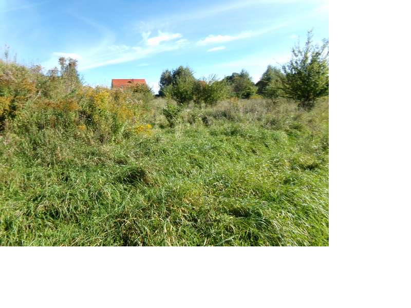 Działka o pow. 1001 m2 w Ługwałdzie ul. Bukszpanowa - Pełny obrazek: 4/5