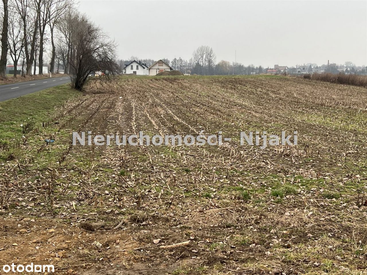 Grunt rolny z warunkami zabudowy Rakoniewice