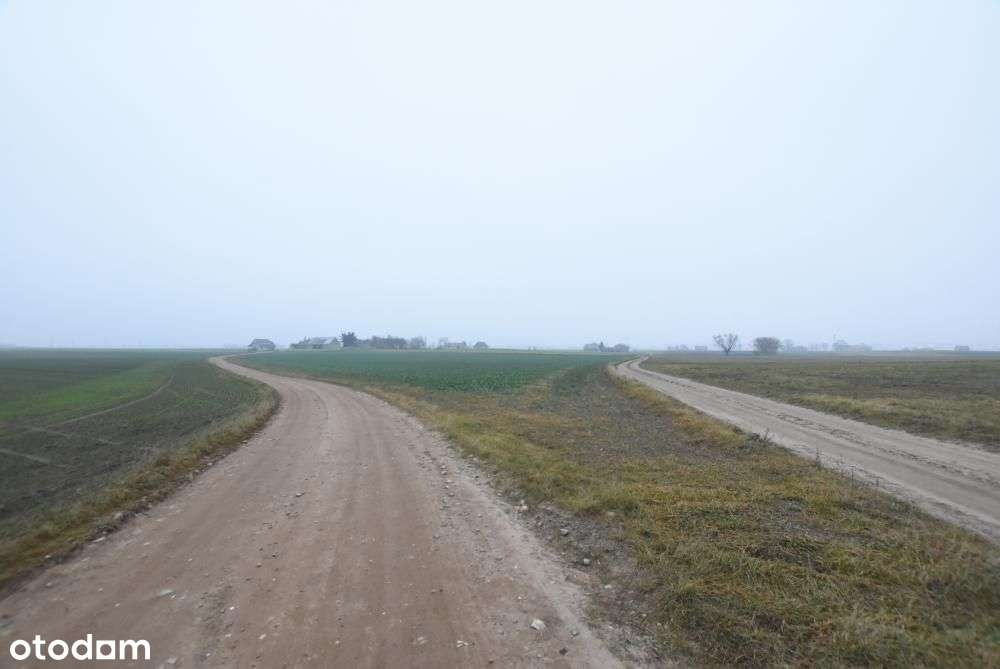 Działka budowlana możliwość budowy 3 domów BRZOZA/Niepruszewo-5