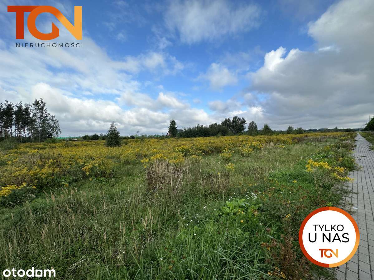 Działka pod Usługi - Pełny obrazek: 4/5