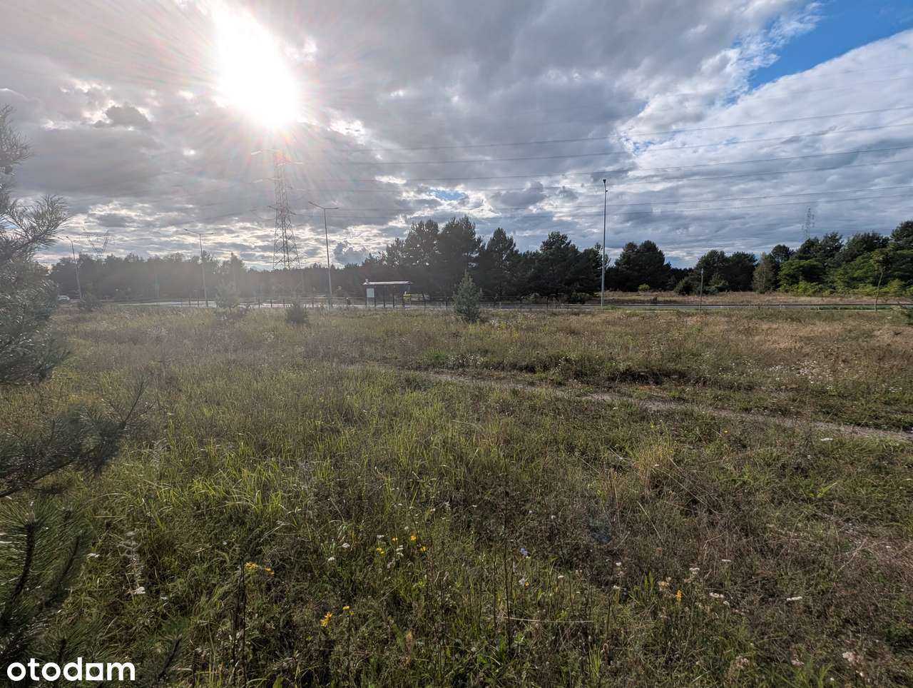 działka w mieście w pobliżu lasu - Pełny obrazek: 4/6
