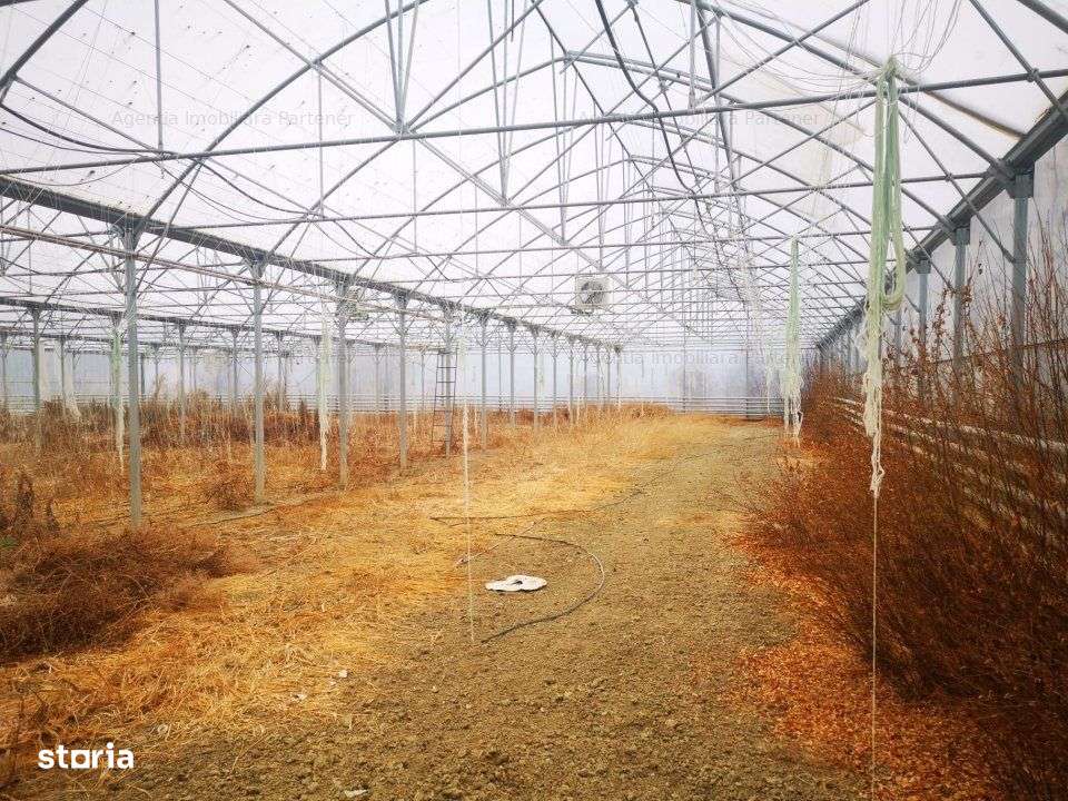Teren 12.000mp + sera 3.000mp, Ciofrangeni-Arges - Imagine principală: 5/6