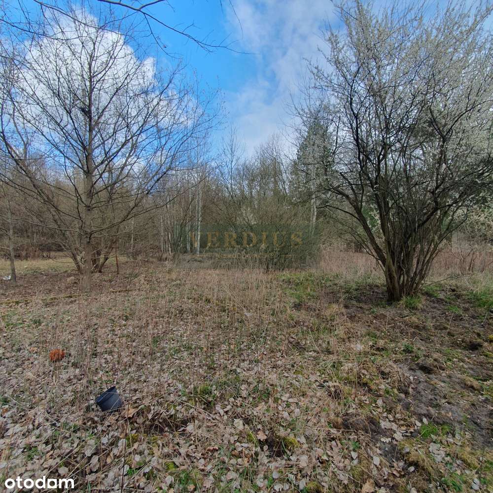 Budowlana 3364m2, 61x54m,cisza, las-1