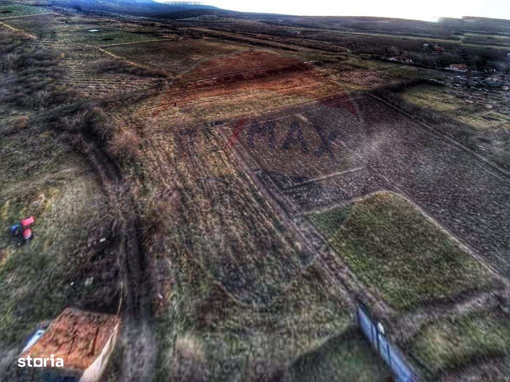 Teren de 1,200 mp cu potențial în Covăsânț, strada Liliacului - Imagine principală: 5/10