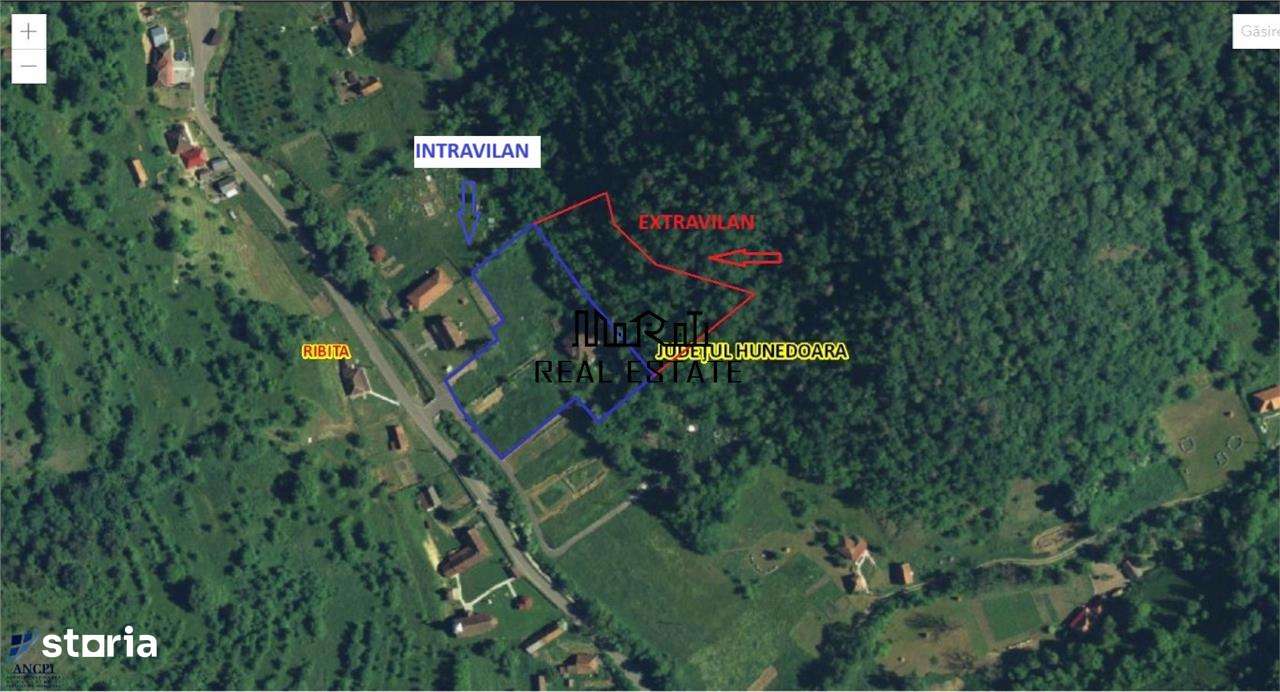 Teren, padure si casa in Dumbrava de Jos, jud. Hunedoara-10