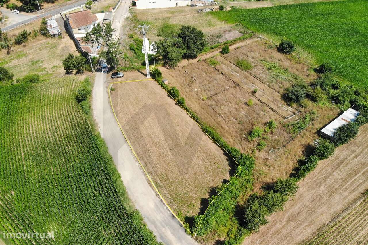 Terreno com Excelente Potencial para Construção – Beduído, Estarreja-16