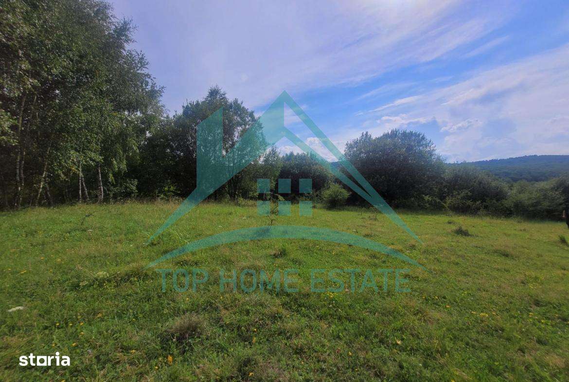 Teren pentru cabana/pensiune zona Lac Micesti!-1