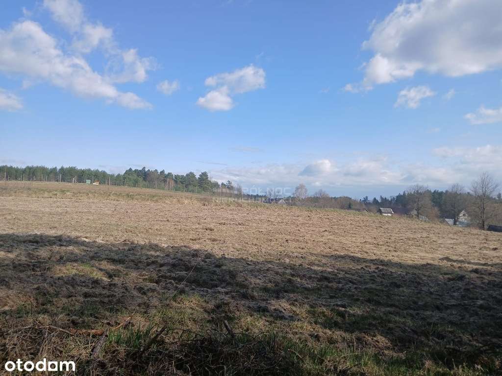 Ucieknij od zgiełku – działki w Róży gm. Susiec - Pełny obrazek: 5/11