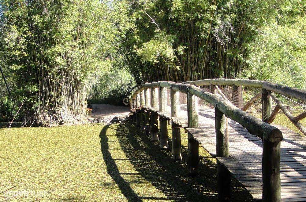 Luxuosa Moradia em Lordelo do Ouro, Porto - Grande imagem: 4/6