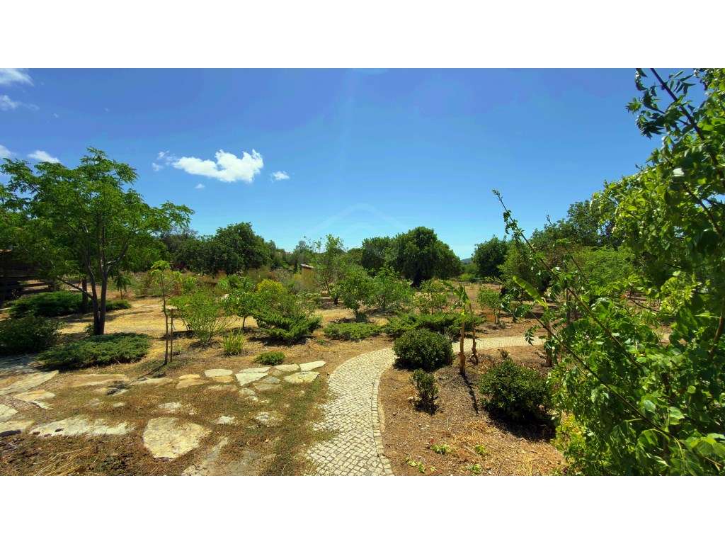 Moradia V4 com piscina, São Brás de Alportel, Algarve-49