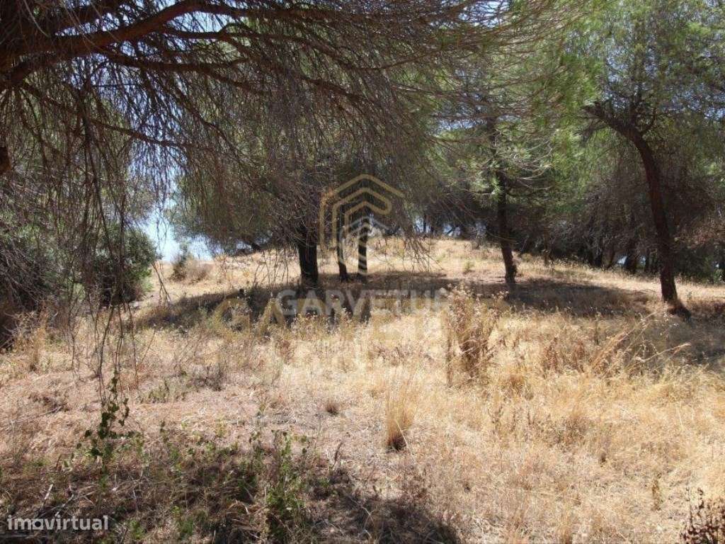 Terreno rústico, em zona agrícola, Albufeira, Algarve. - Grande imagem: 2/31