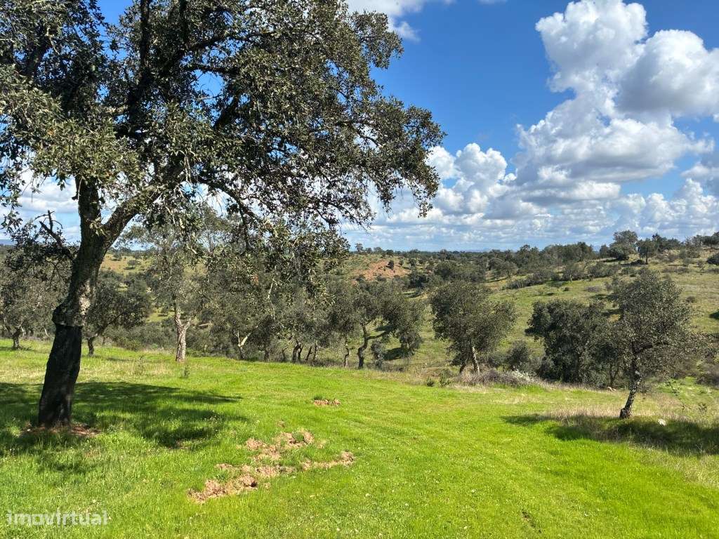Quinta T2 em Serpa | Vista para a barragem-54