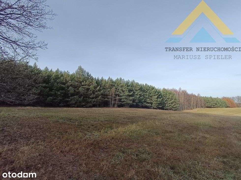 Działka leśna w Chłopowie 3,24 ha , 230 tys.!-6