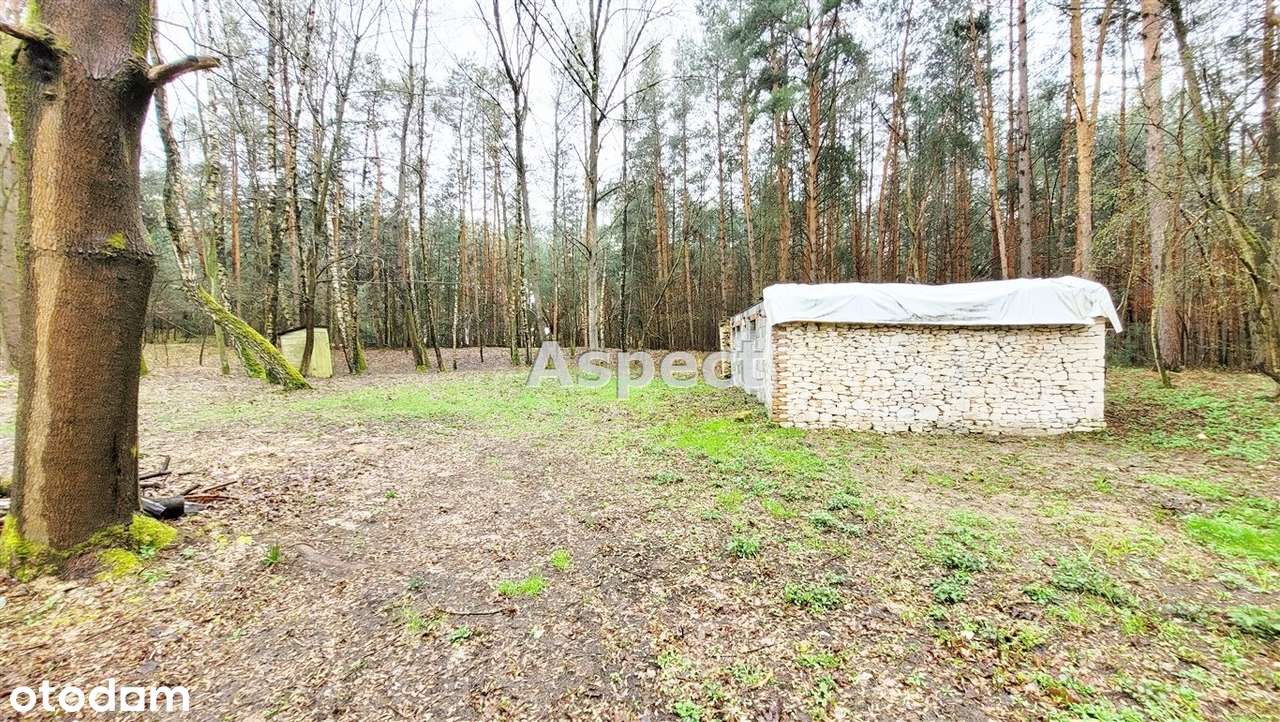 Sprzedam Dom z działką k. Kazimierza Dolnego - Pełny obrazek: 4/13