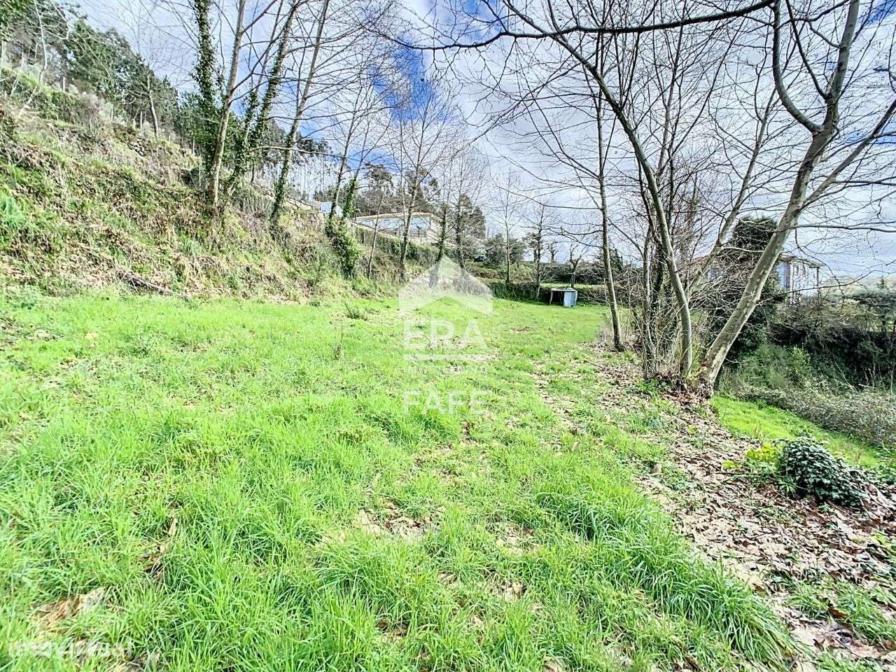 Terreno com a área de 8.100m2 em Cabeceiras de Basto - Grande imagem: 4/12