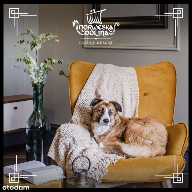 Apartament nr 7 Willa Torpo ResortNorweskaDolina-17