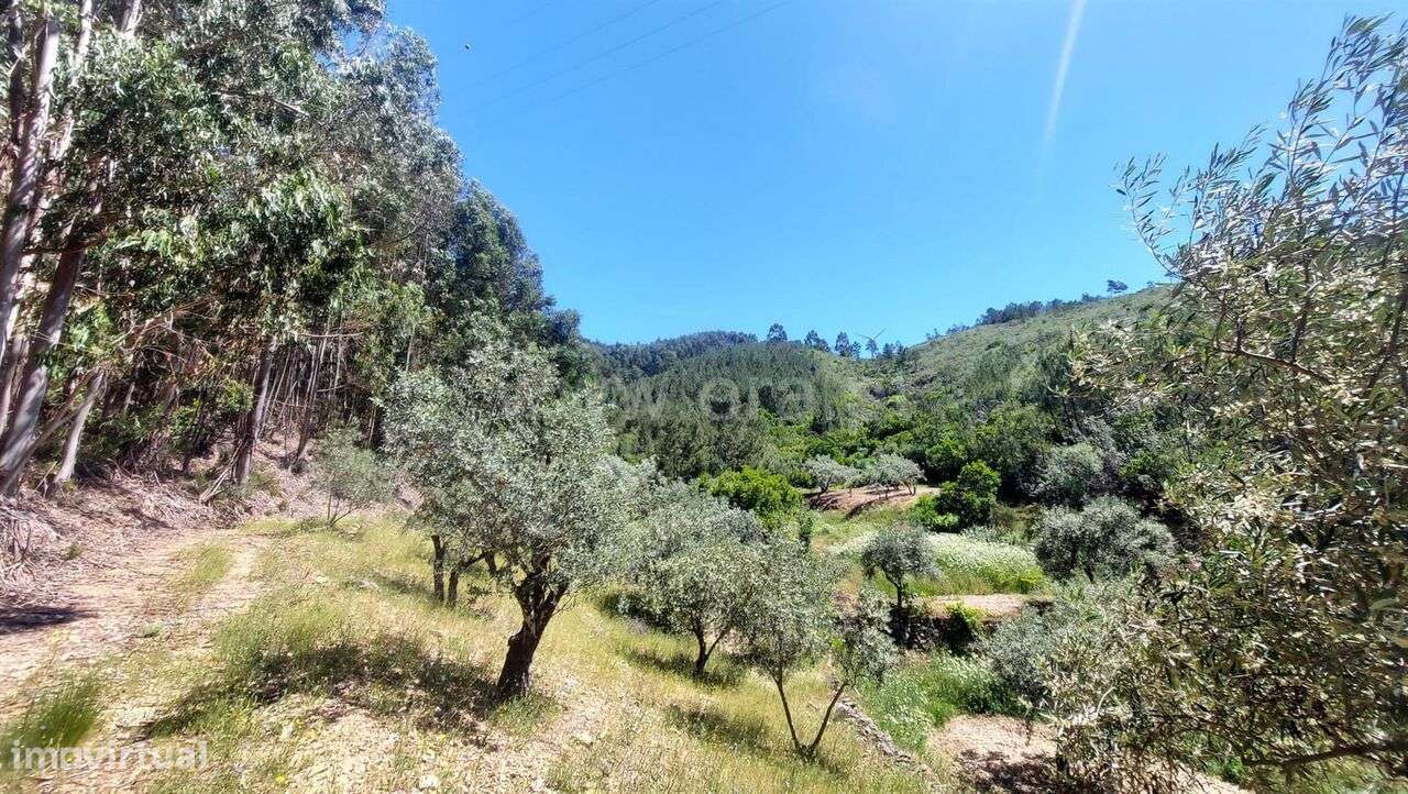 Terreno Rústico / Fundão, Bogas de Cima - Grande imagem: 4/12