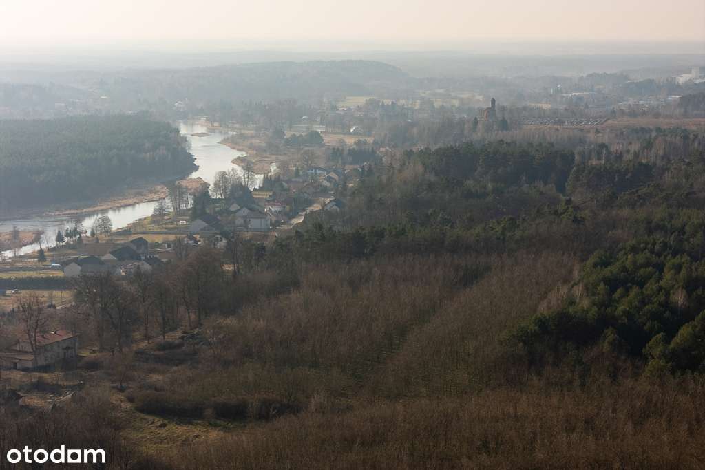 Działka budowlana 4 667 m2 Zakościele nad Pilicą - Pełny obrazek: 4/9