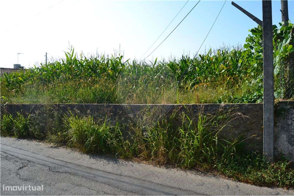 Terreno T0 para venda - Grande imagem: 3/8