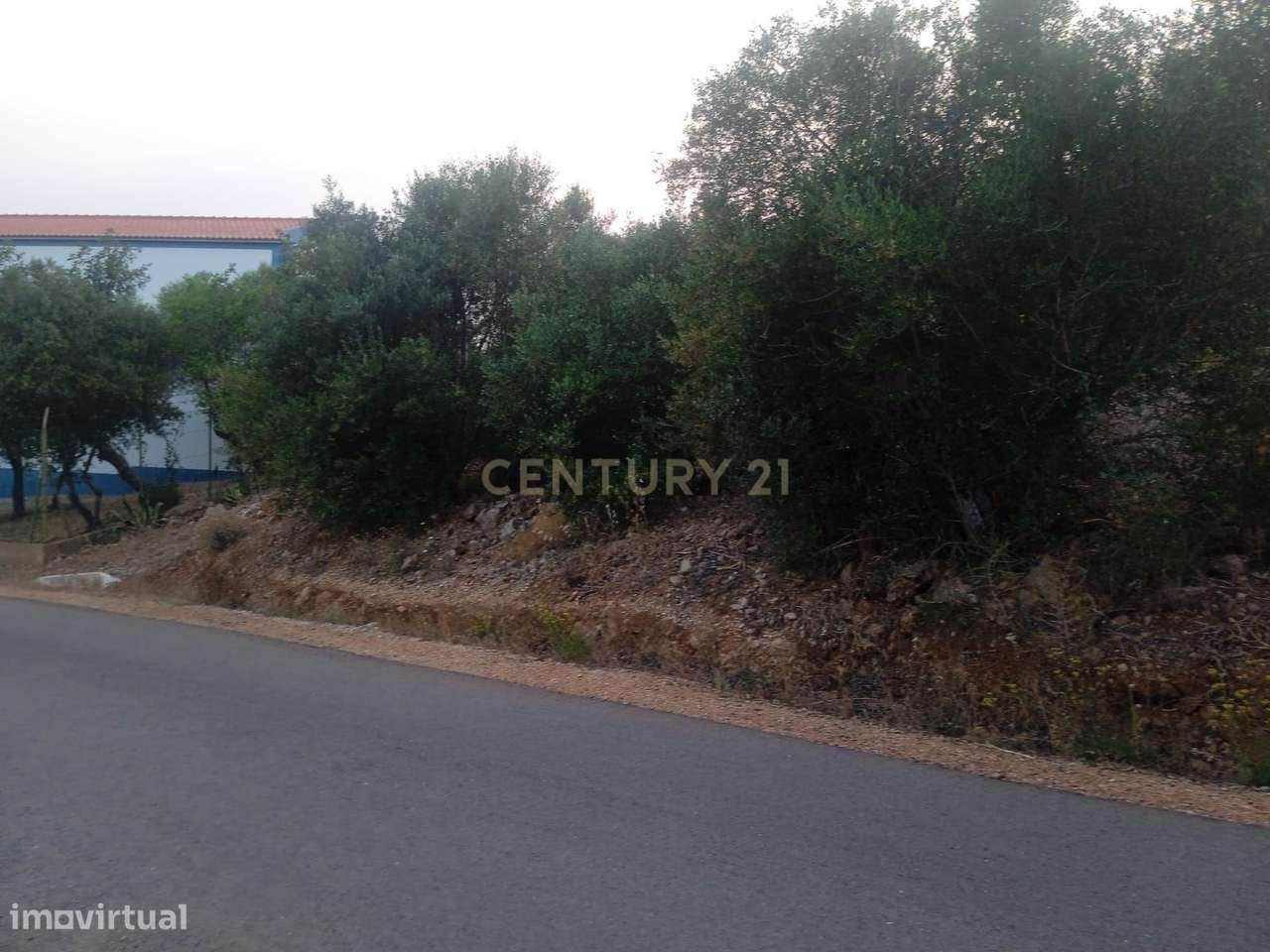 NÃO PERCA ESTA GRANDE OPORTUNIDADE! - Grande imagem: 5/5