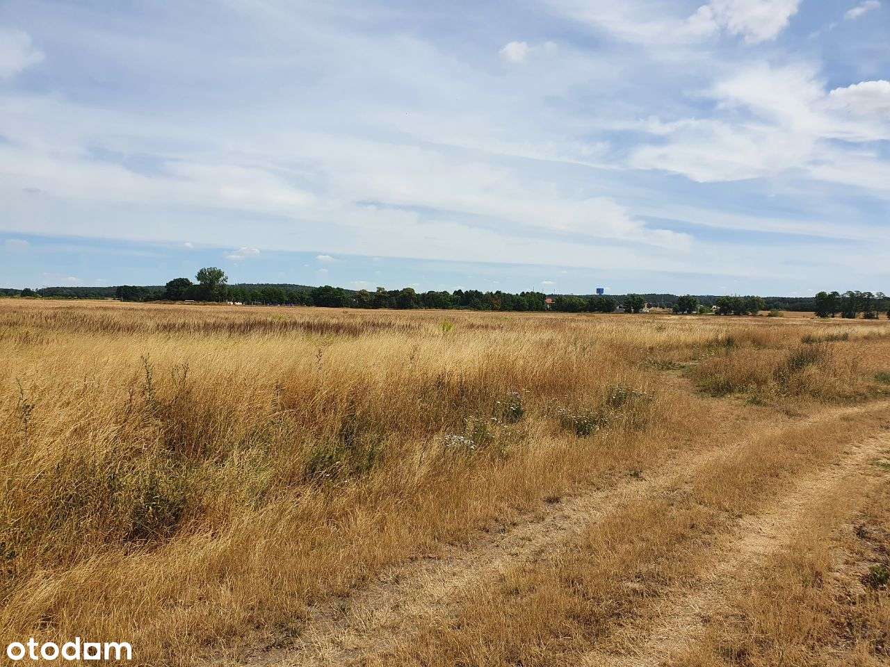 Działki rolno-budowlane Radwanice 3,47 ha - Pełny obrazek: 3/4