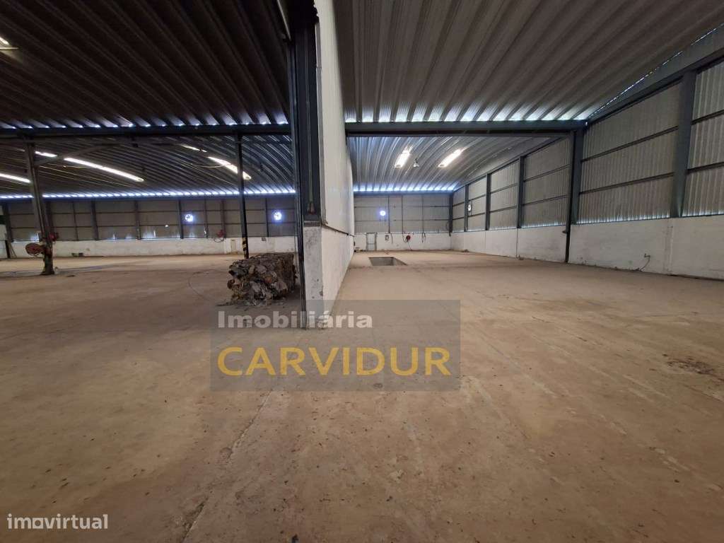 Armazém Industrial de Grande Dimensão - Parque Industrial da Mitren...-6