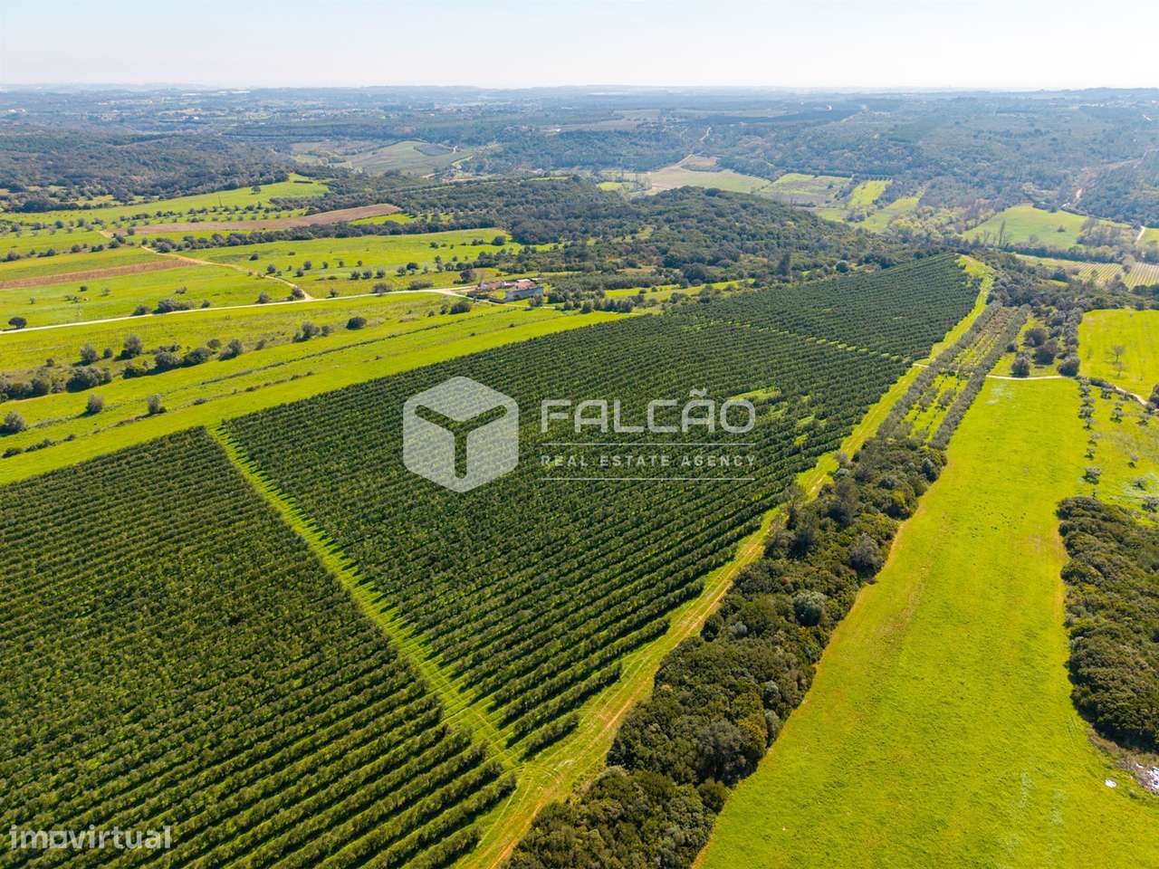 Terreno Rústico  Venda em Almoster,Santarém - Grande imagem: 4/29