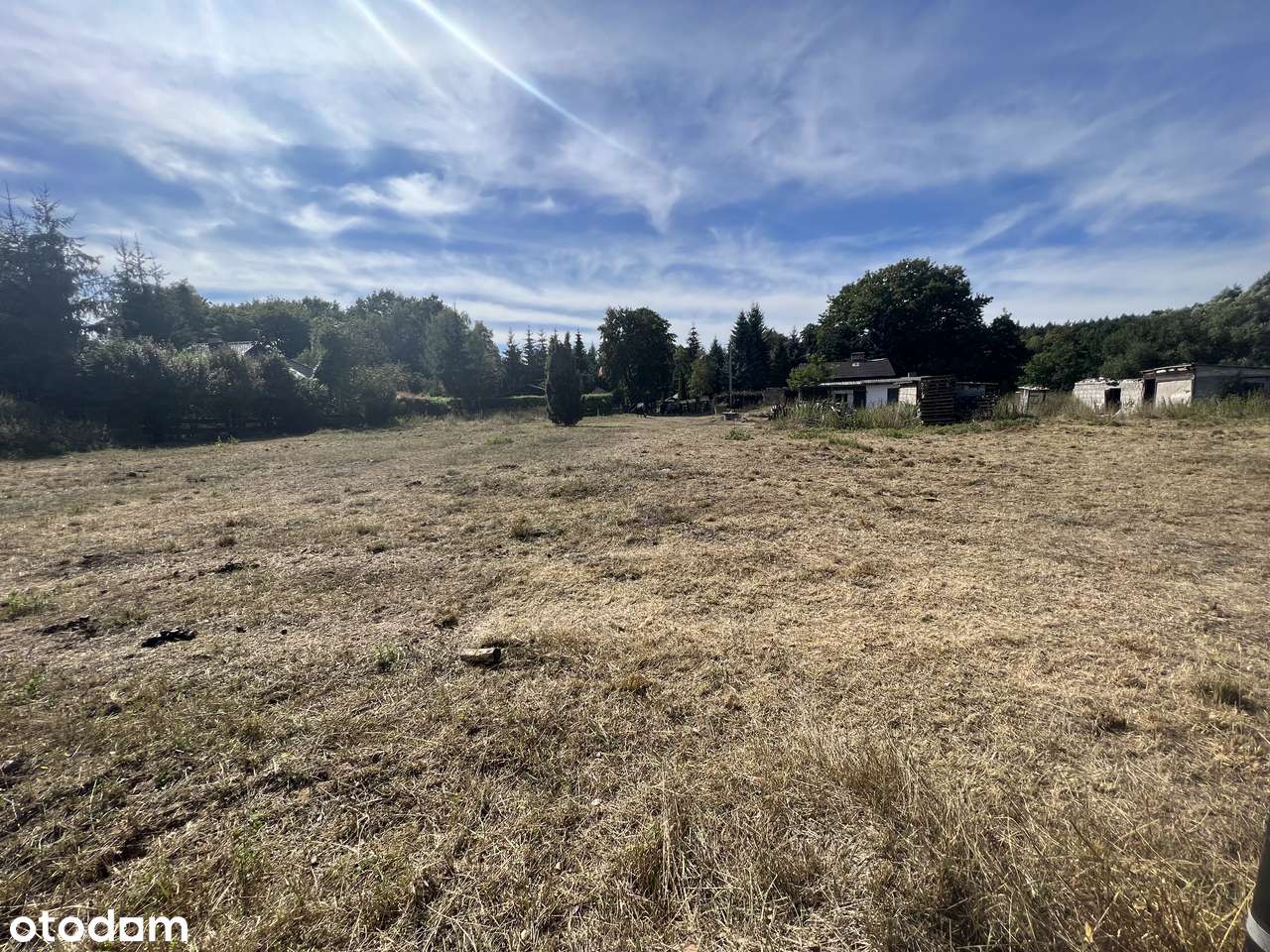 Wyjątkowa działka - Bory Tucholskie z  linią brzegową - Pełny obrazek: 2/11