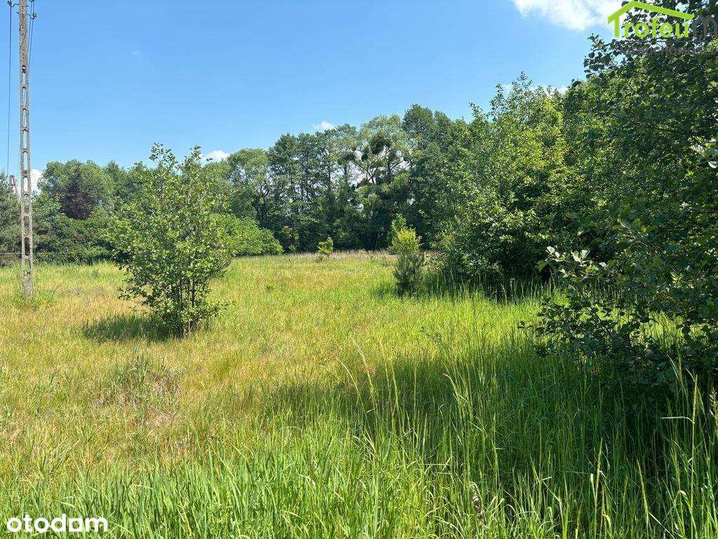 Działka budowlana o pow.4272m2, Turznice - Pełny obrazek: 5/8