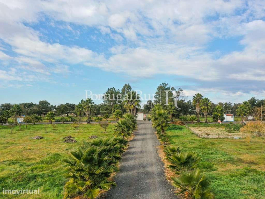 Quinta de 5 hectares, com 2 moradias e piscina-47