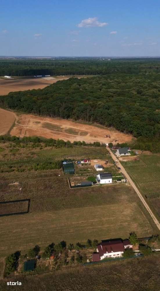Lot de teren, padurea Snagov - Ciolpani - mega reduceri de pret!-15