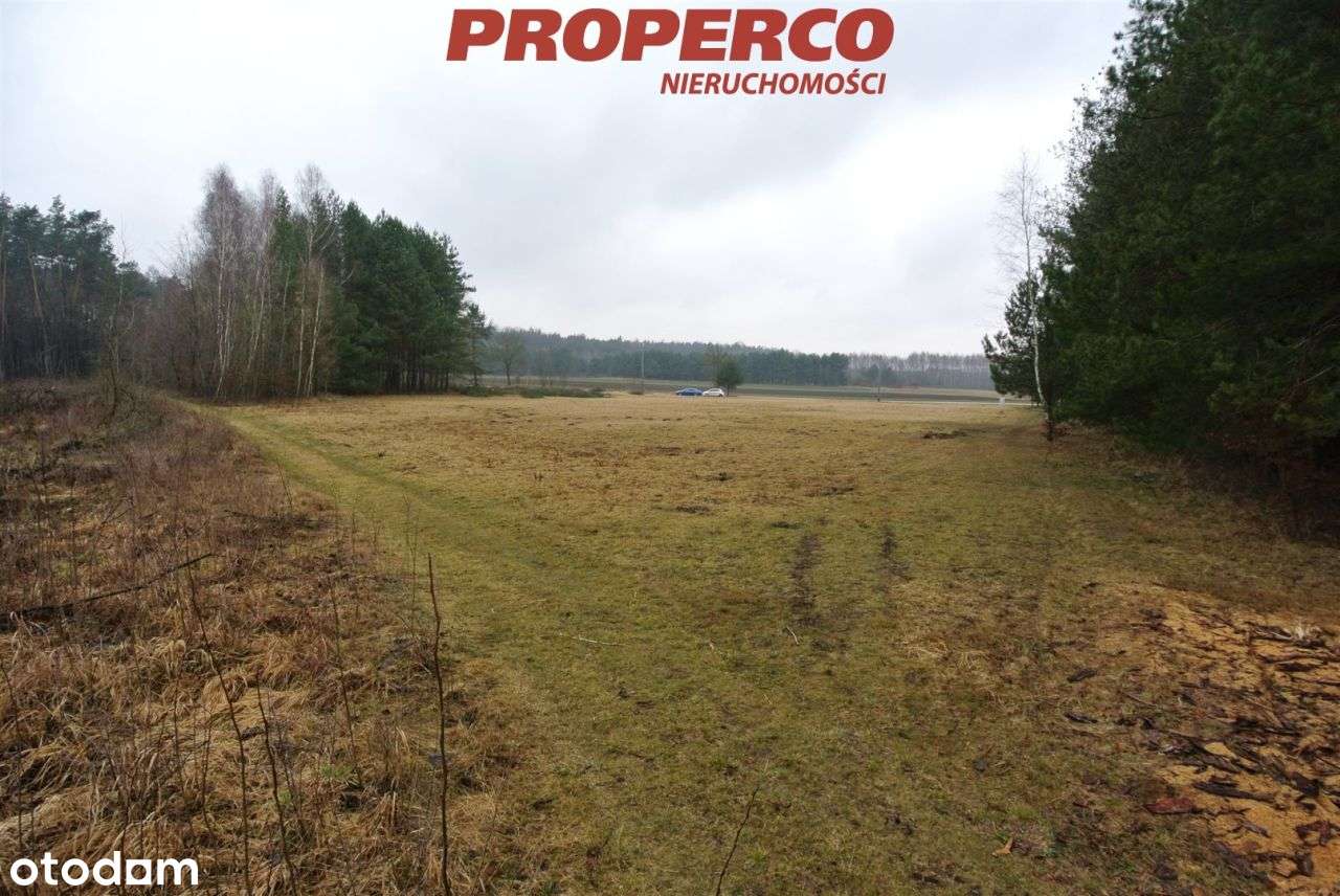 Działka 5428m2, Grabowiec, Chmielnik, pod lasem - Pełny obrazek: 5/6