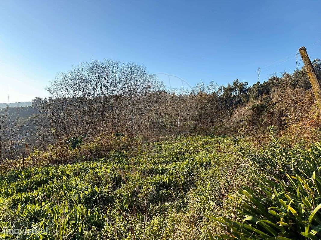 Terreno  para venda - Grande imagem: 4/12