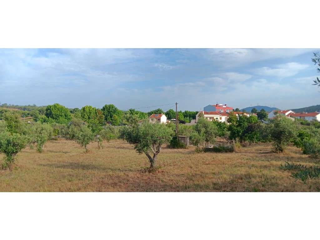 Magnífico Terreno com Viabilidade de Construção no Centro de Mação-6