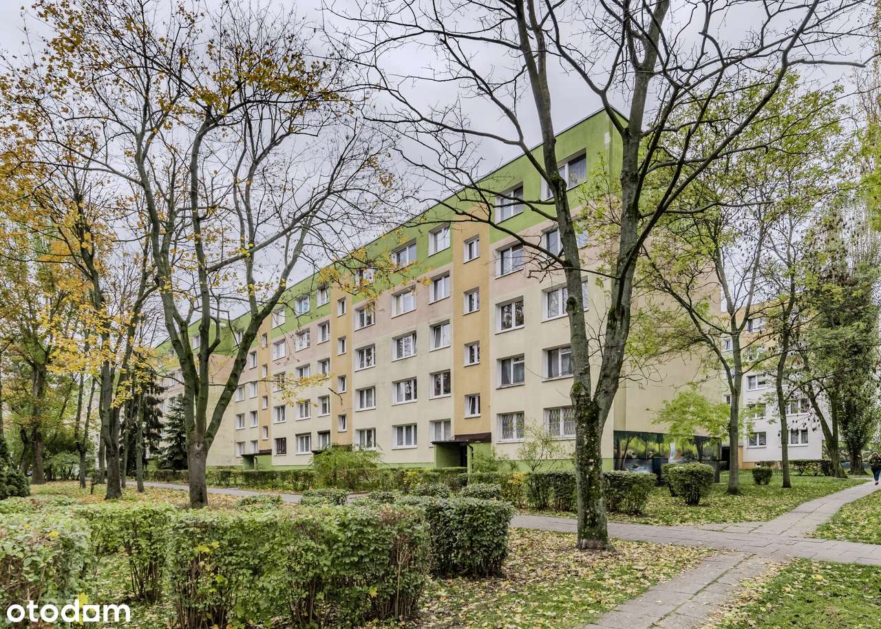 NOWOŚĆ! 3 pok.| pełen rozkład | 54 m2 | BDB lokalizacja, ul. Lecznicza-2