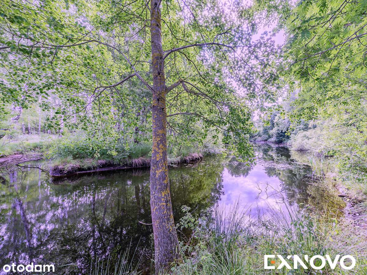 Siedlisko ze stajnią na 4-ha działce na Kaszubach.-17