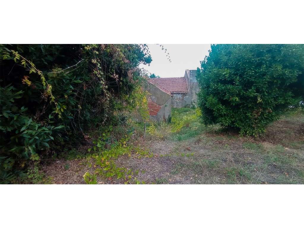 Adega / Armazém com projecto de arquitetura para conversão em morad...-15