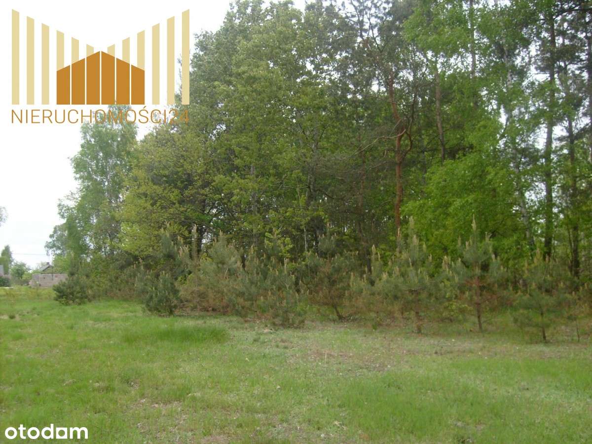 840745 - Pełny obrazek: 4/5