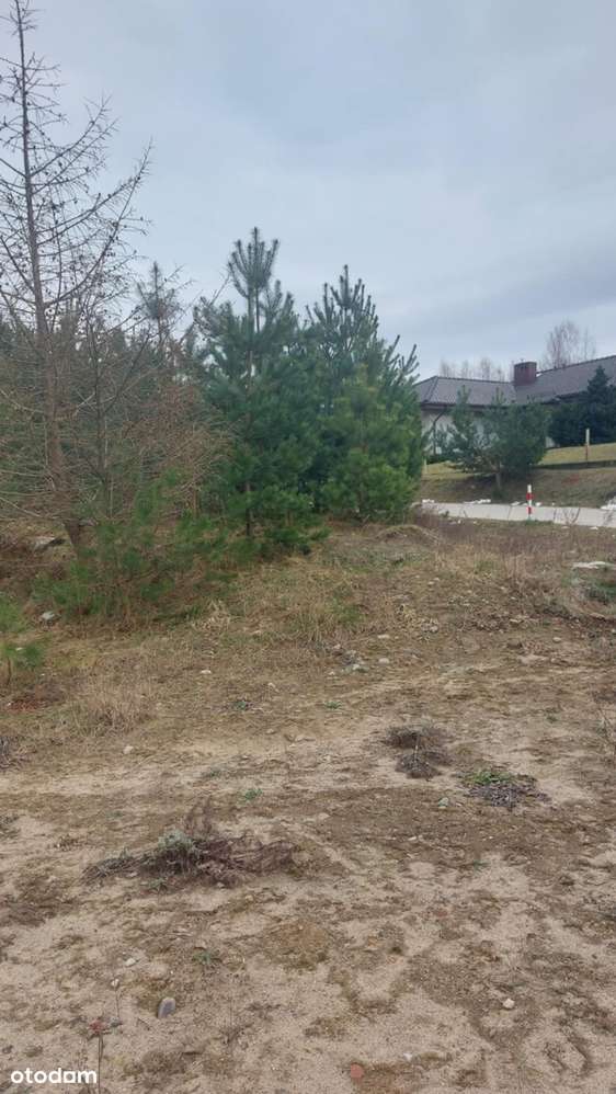 Gowino Zaciszne Zalesie w otulinie Trójmiejskiego Parku Krajobrazowego-3