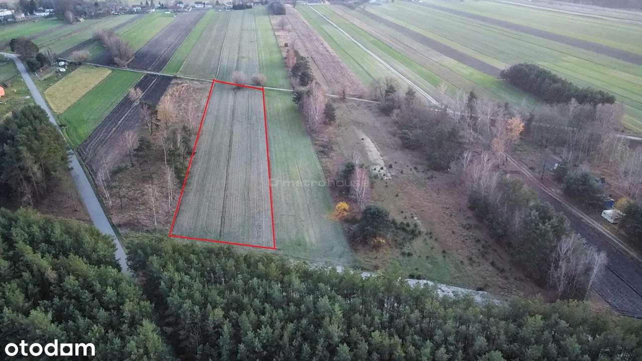 Działka rekreacyjna Szydłów, gm. Lutomiersk - Pełny obrazek: 4/13