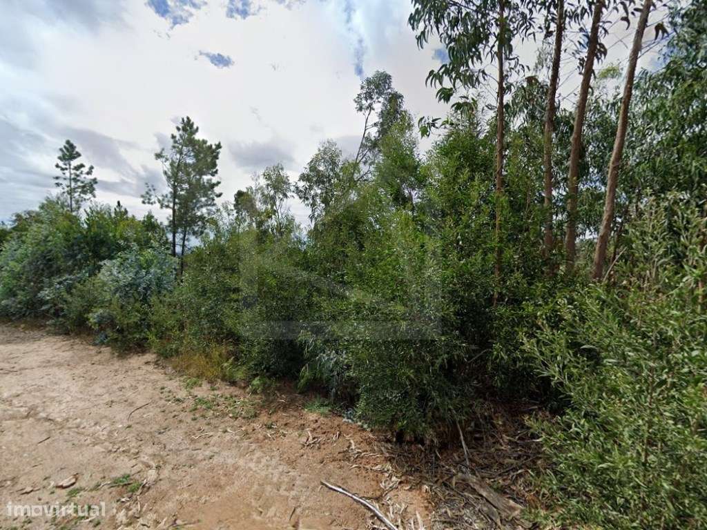 Terreno em S. Vicente de Pereira - Grande imagem: 4/6