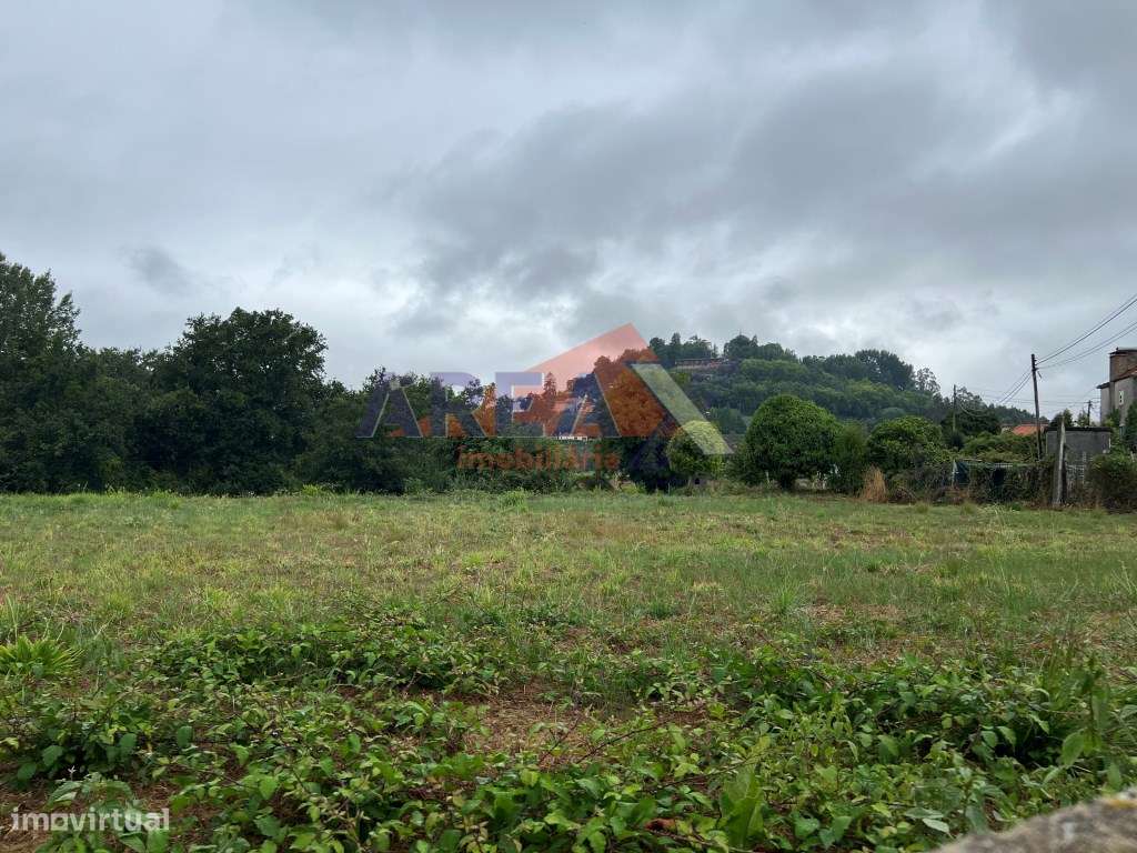 Terreno com 3.900m2, perto de Oliveira de Azeméis-2