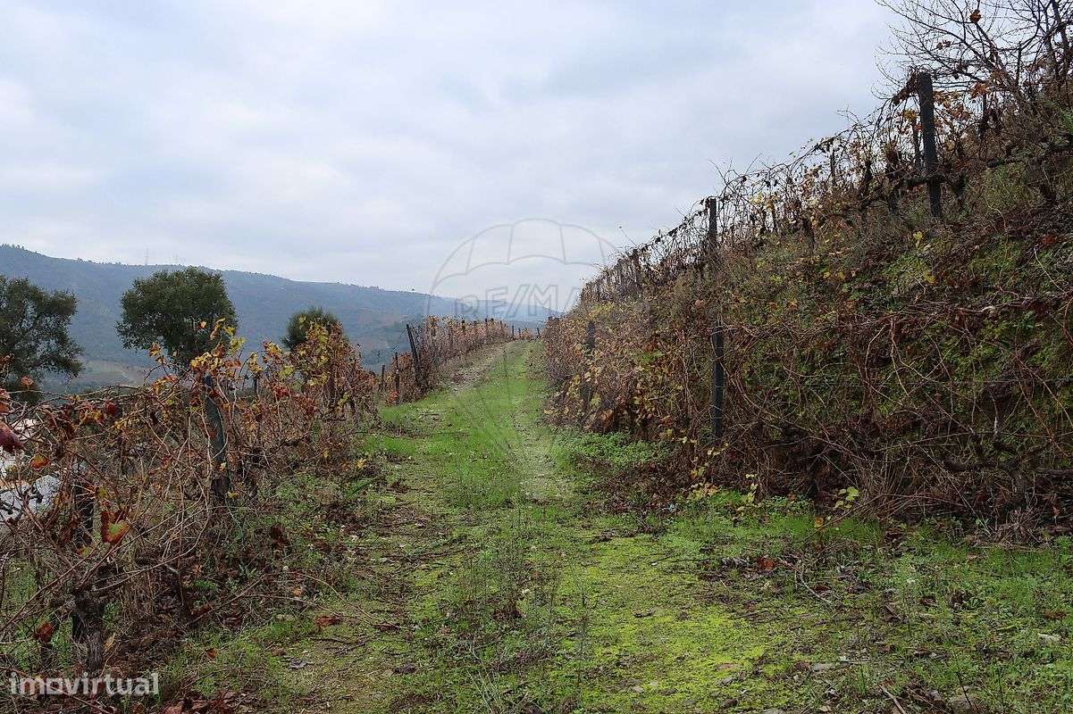 Terreno  para venda - Grande imagem: 2/11